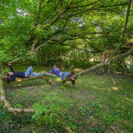 Szellos Ret * Balvanyos