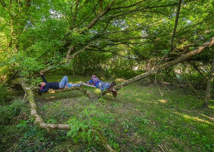 Szellos Ret * Balvanyos